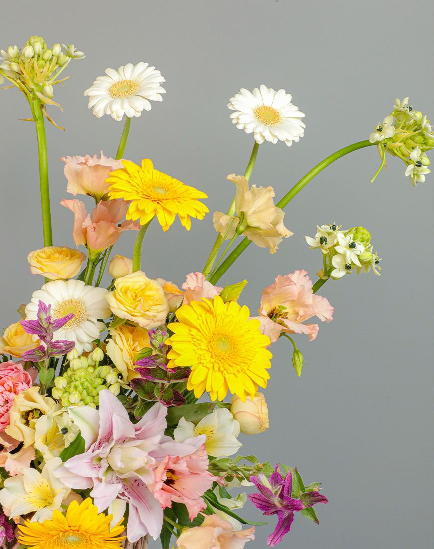 Gerbera White And Yellow Vase - Image 4