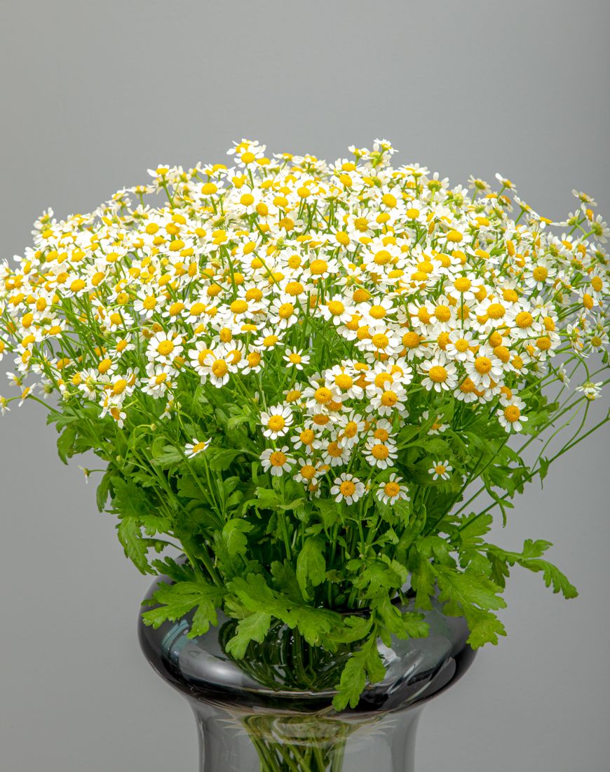 Get Well Soon Flower Vase - Image 2