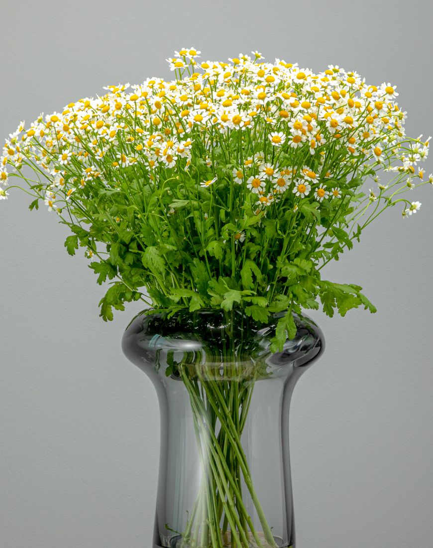 Get Well Soon Flower Vase - Image 3