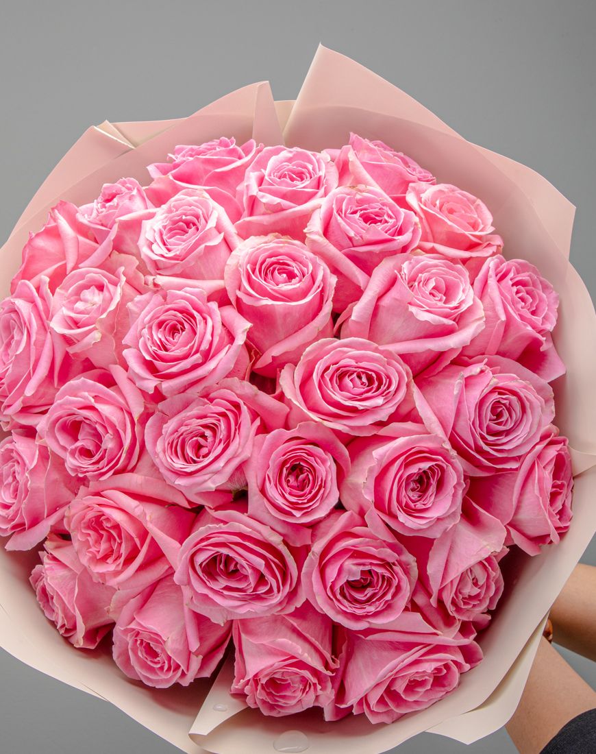 Luxury Pink Roses - Image 15