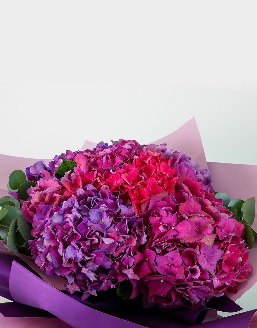 Mix Purple Hydrangea - Image 2