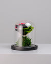 Forever Rose Mixed Color - Image 3