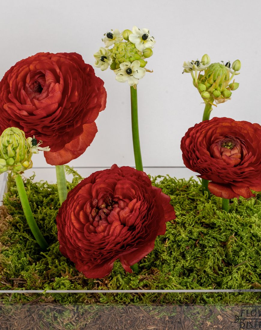 Regal Bloom Tray - Image 2