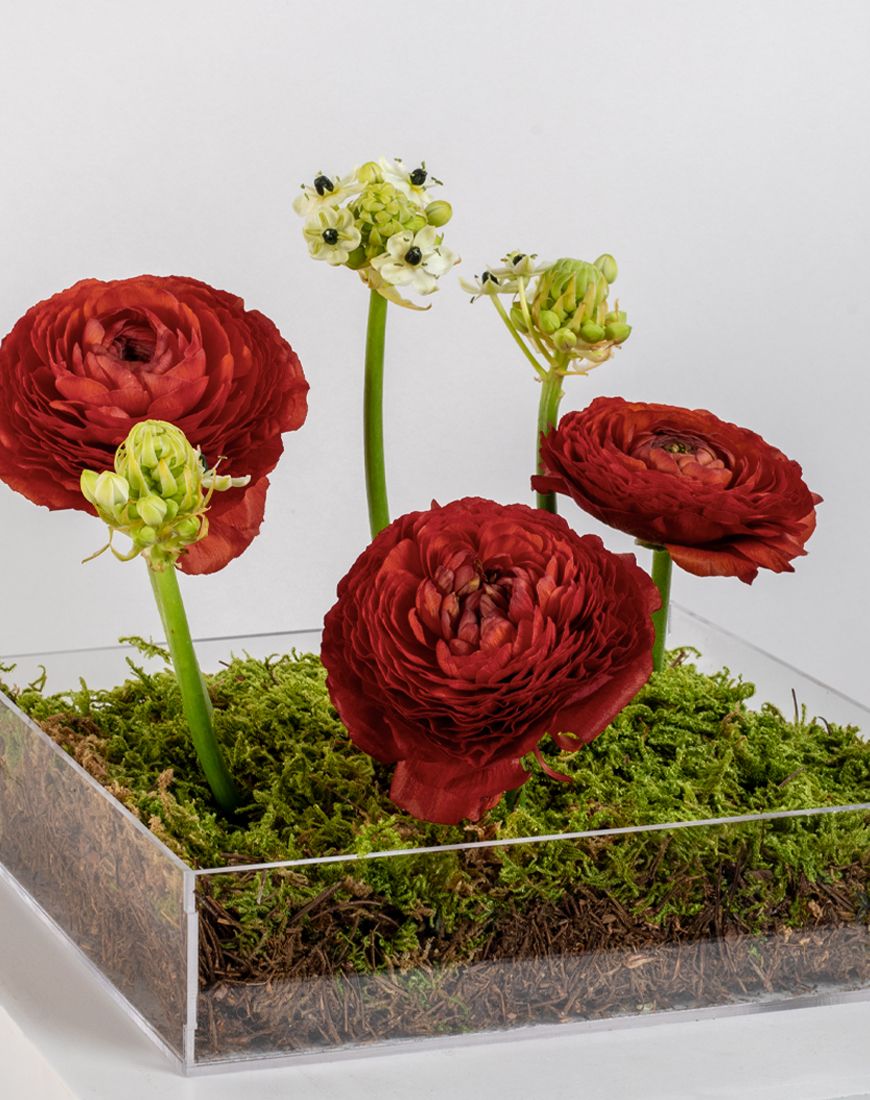 Regal Bloom Tray - Image 3