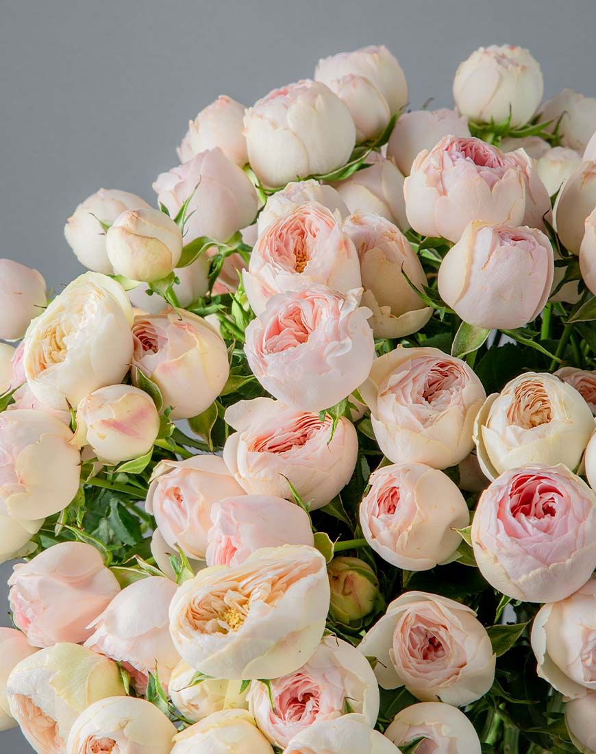 Spray Rose Blush Pink Bouquet - Image 2