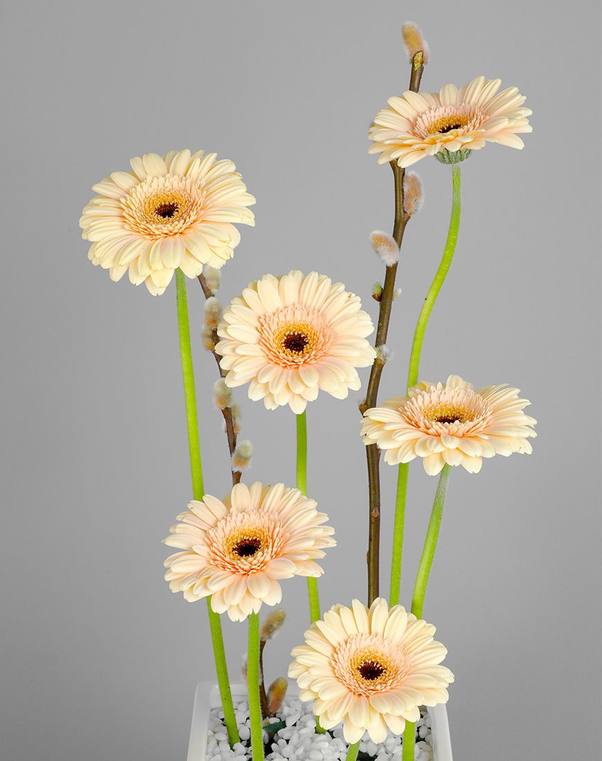 Spring Delight Gerbera Vase - Image 2