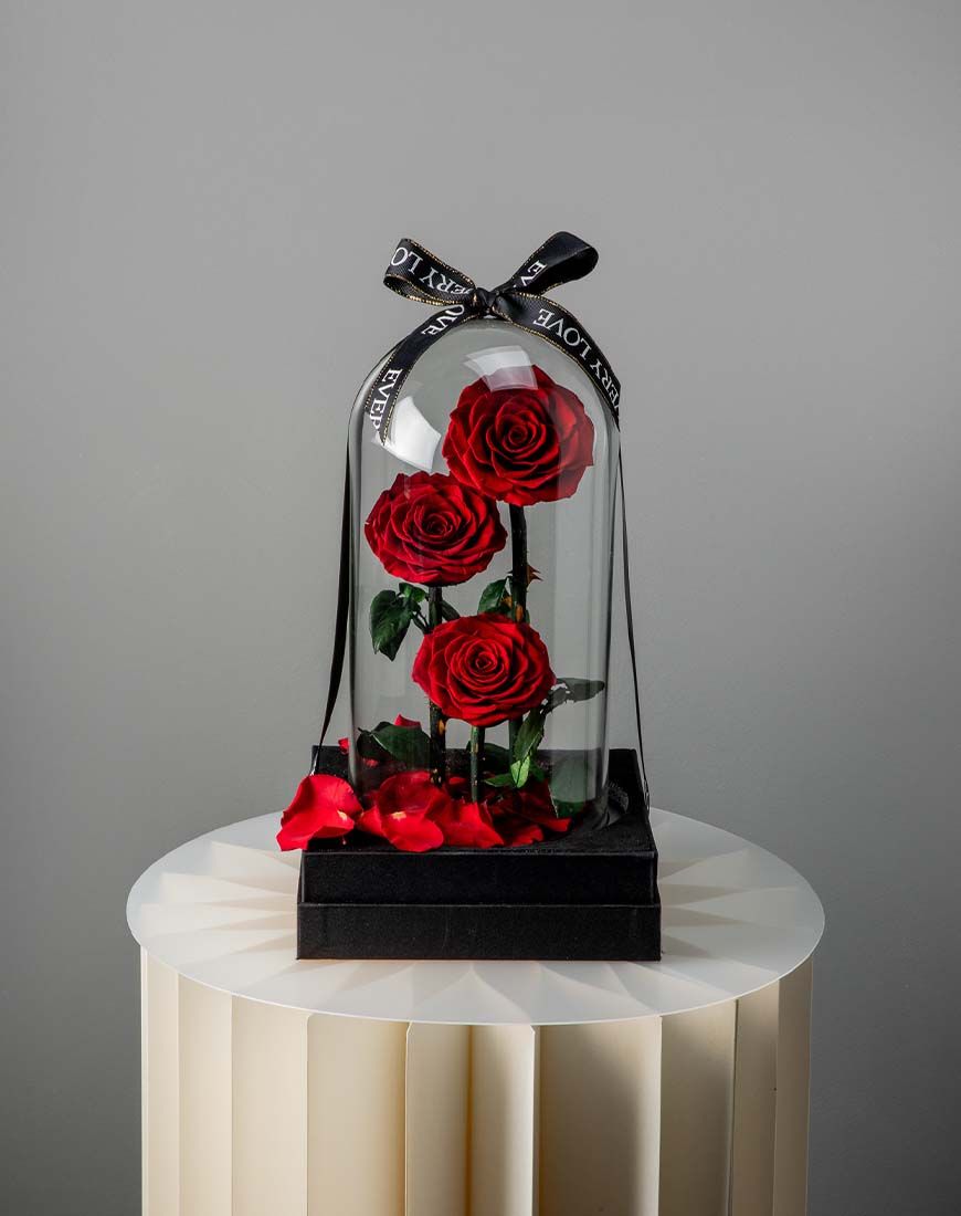 Red Forever Rose