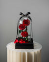 Red Forever Rose
