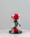Single Red Forever Rose