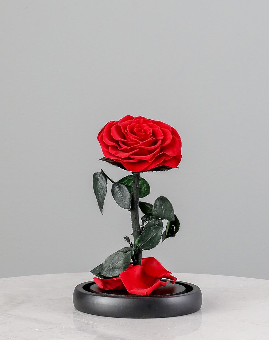 Single Red Forever Rose - Image 3