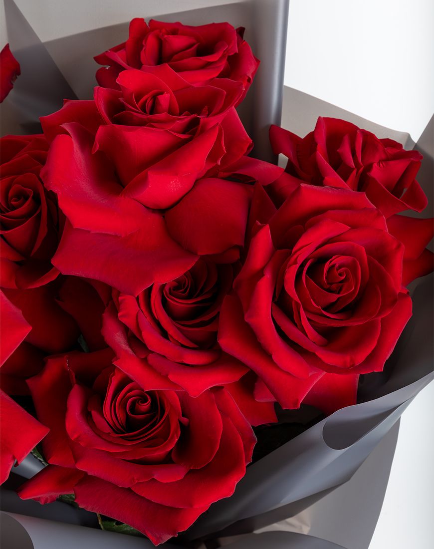 Velvet Roses - Image 2