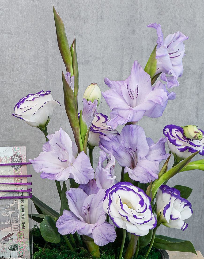 Violet Dreams Money Arrangement - Image 2