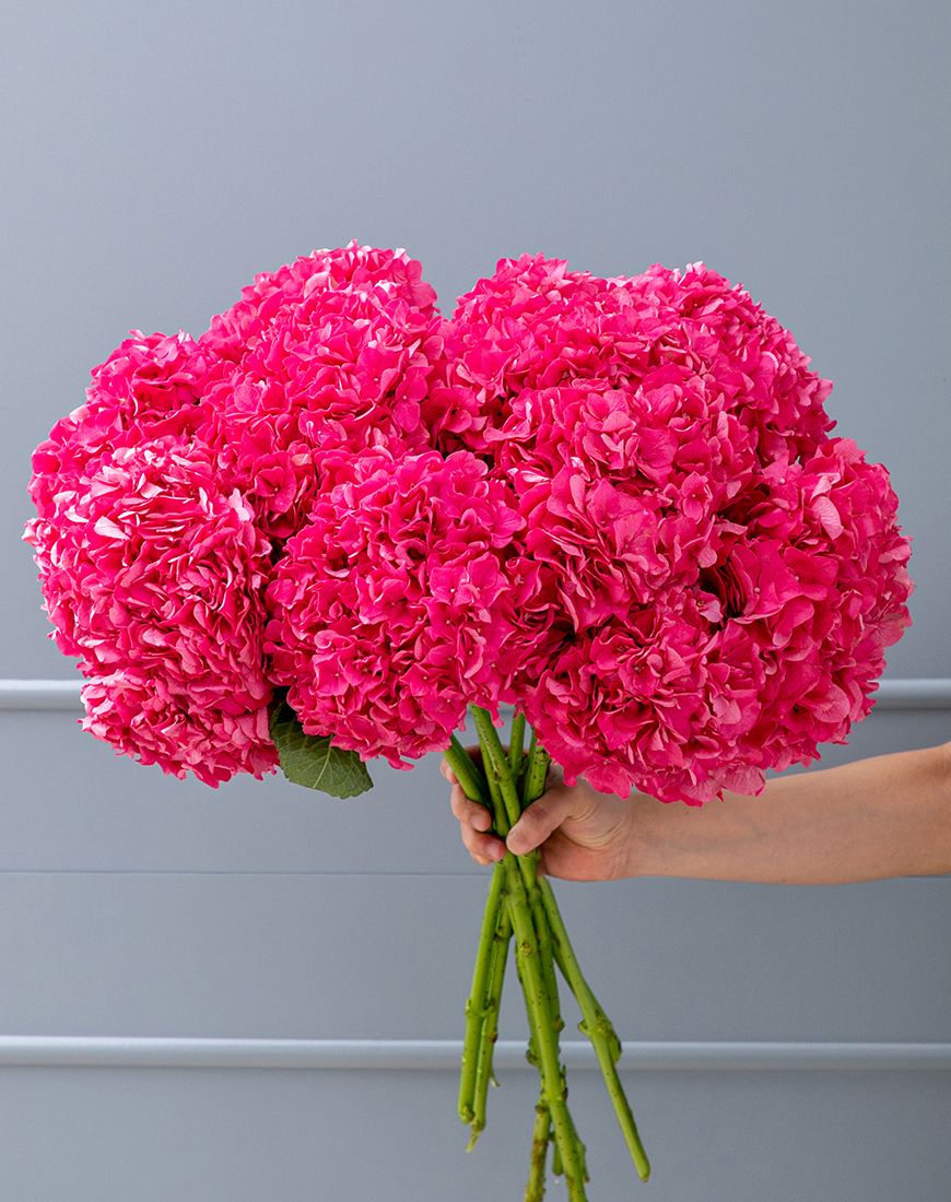 Fuschia Pink Hydrangea Bouquet - Image 4