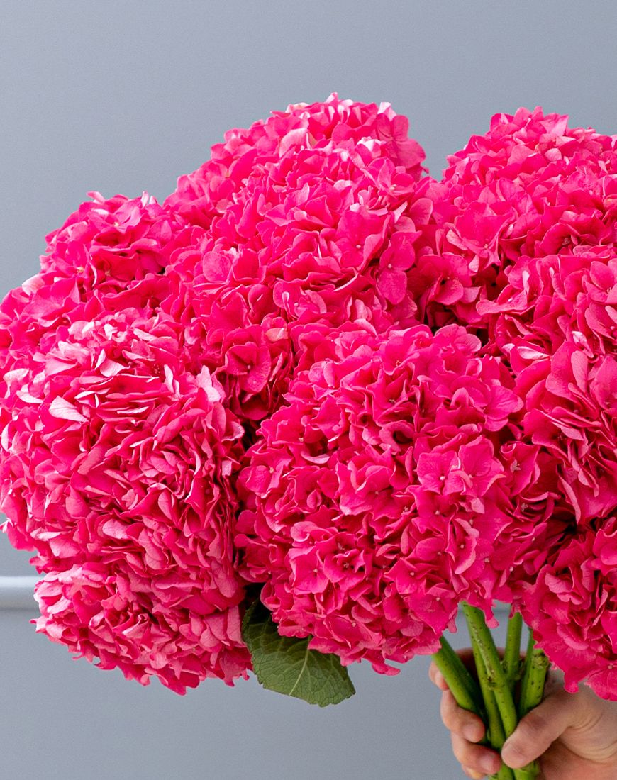 Fuschia Pink Hydrangea Bouquet - Image 8
