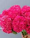 Fuschia Pink Hydrangea Bouquet - Image 8