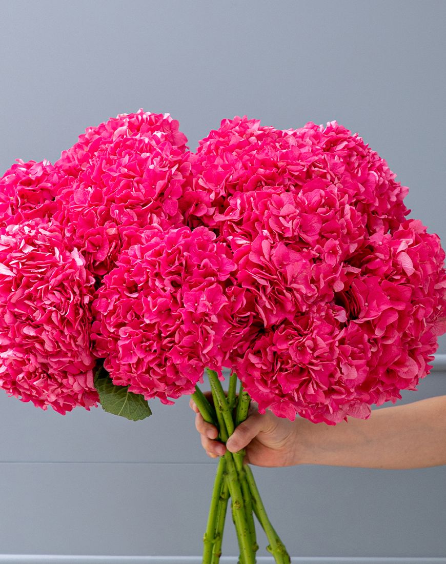 Fuschia Pink Hydrangea Bouquet - Image 12