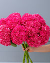 Fuschia Pink Hydrangea Bouquet - Image 12