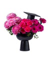 Fusia Dream Graduation Special Arrangement