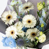 Gerbera & Delphinium Blue Small Bag Arrangement