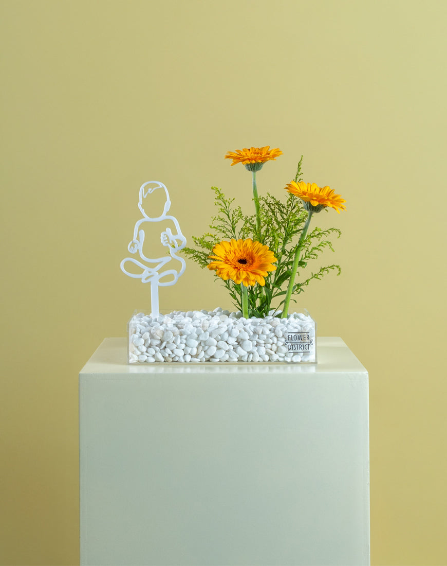 Gerbera Glow Baby Bloom Box