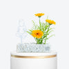 Gerbera Glow Baby Bloom Box