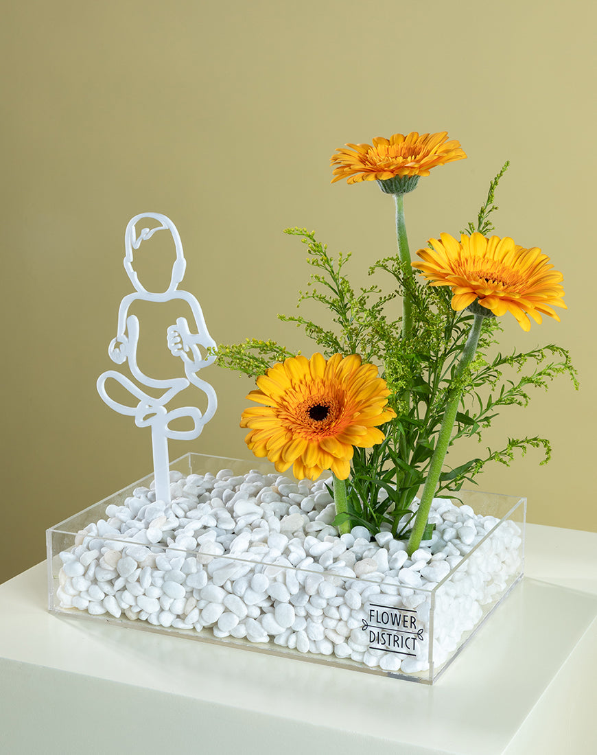Gerbera Glow Baby Bloom Box - Image 2