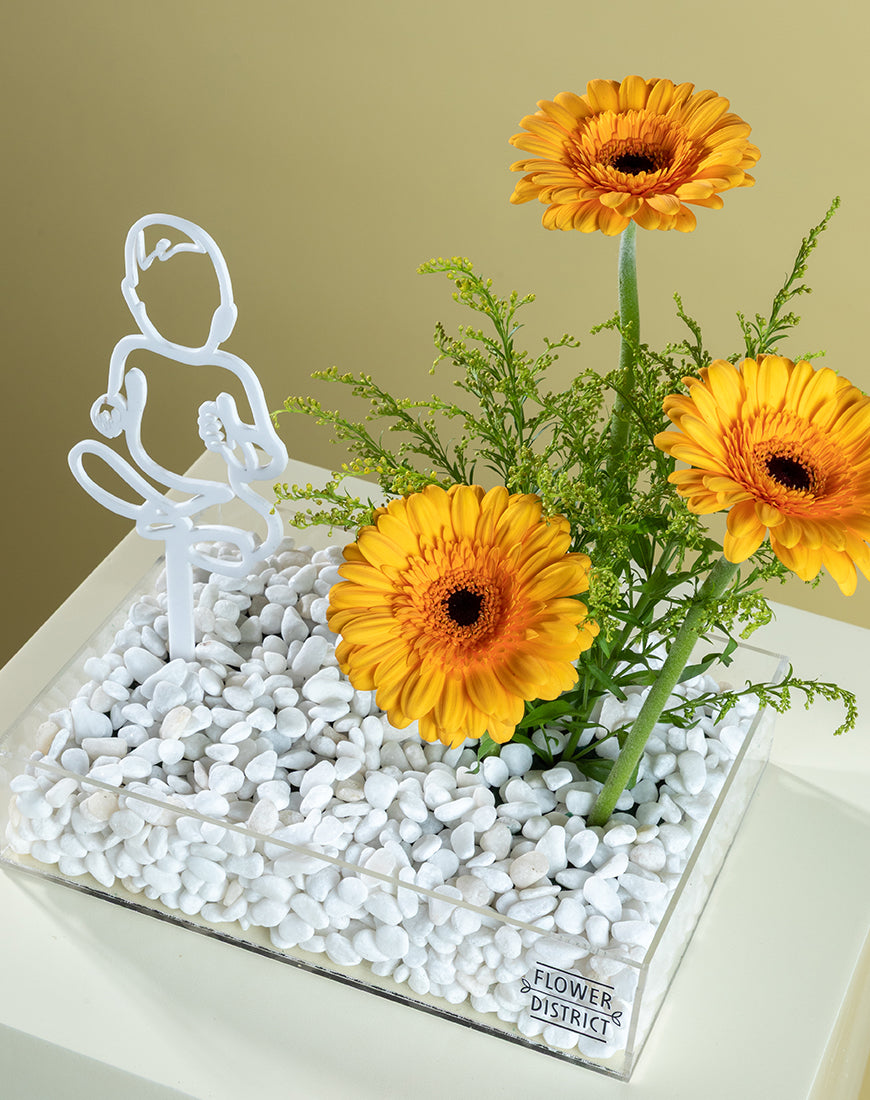 Gerbera Glow Baby Bloom Box - Image 3