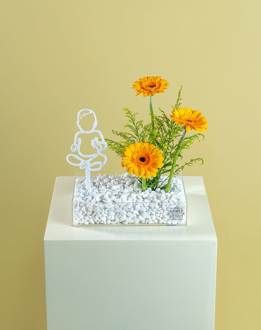 Gerbera Glow Baby Bloom Box - Image 4
