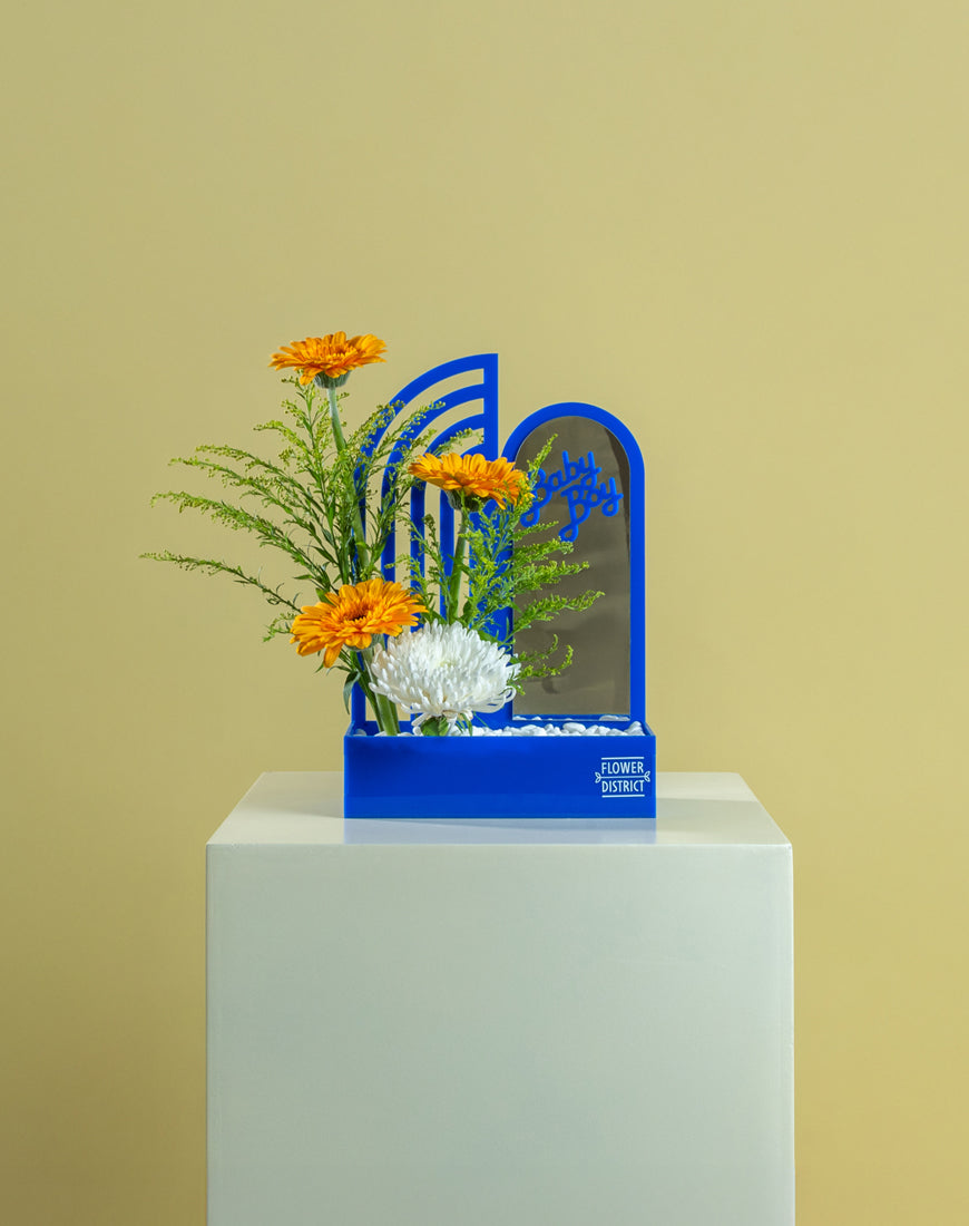 Gerbera & Solidago Baby Boy Box with Mirror