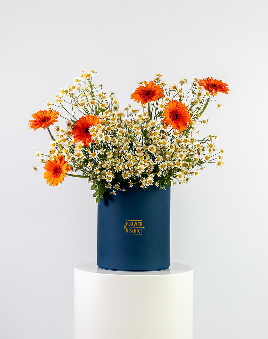 Gerbera Sunshine Medium Flower Box