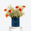 Gerbera Sunshine Medium Flower Box