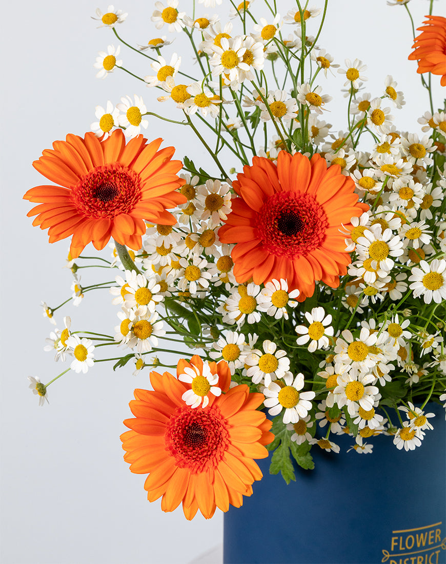 Gerbera Sunshine Medium Flower Box - Image 2