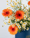 Gerbera Sunshine Medium Flower Box - Image 2