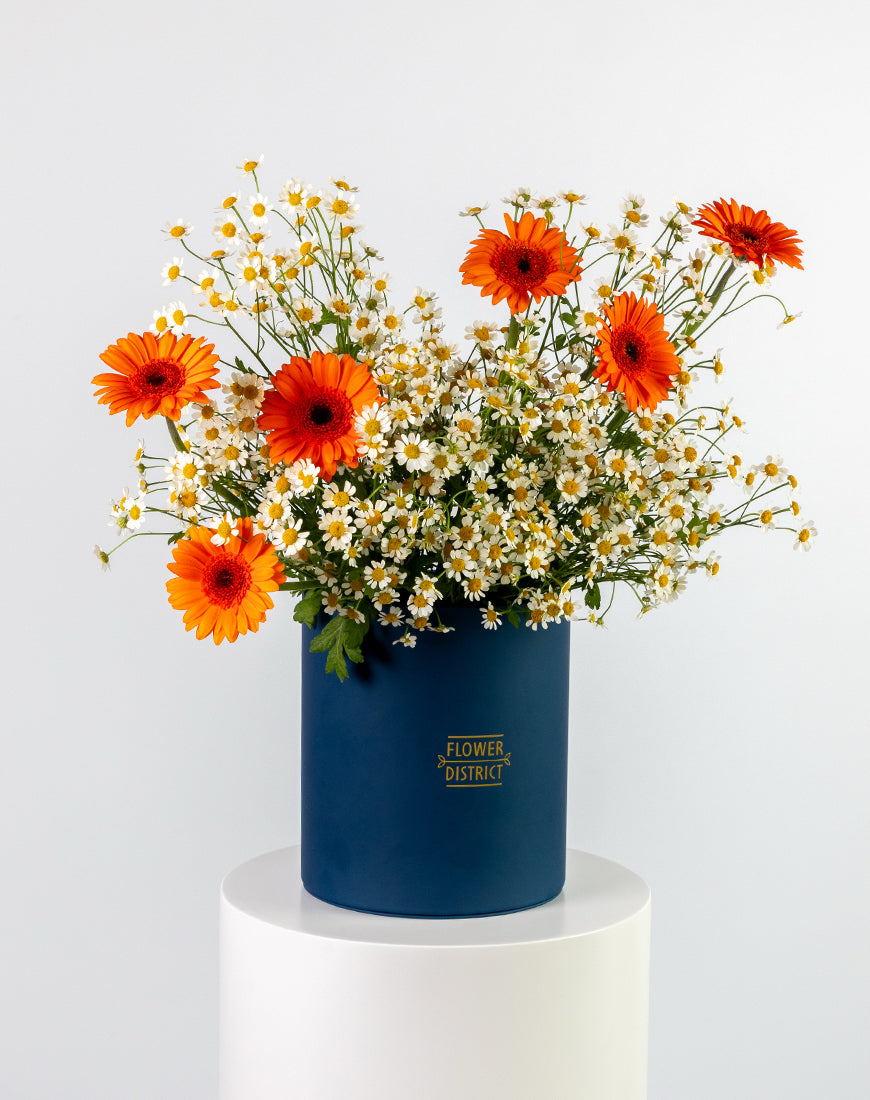 Gerbera Sunshine Medium Flower Box - Image 4