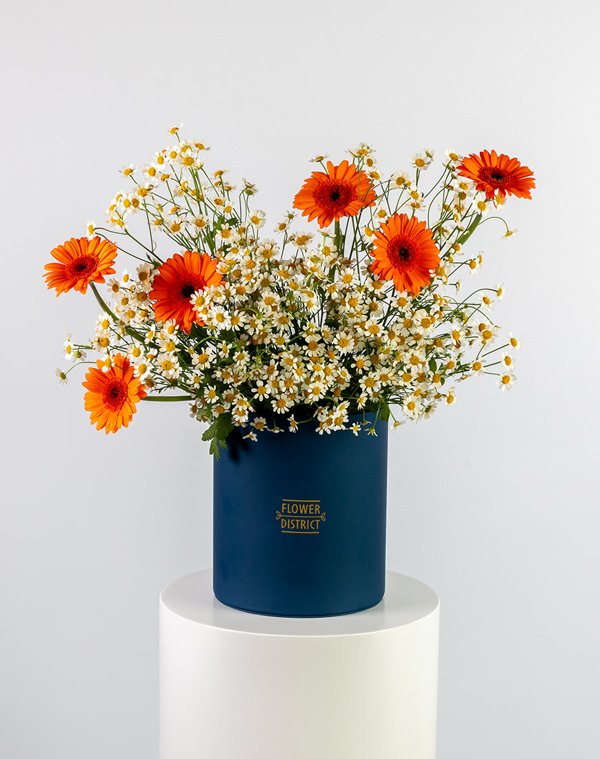 Gerbera Sunshine Medium Flower Box - Image 5