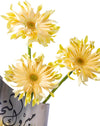 Golden Graduate Graduation Special Arrangement - Image 2