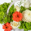 Green Hydrangea & Gerbera Basket image02