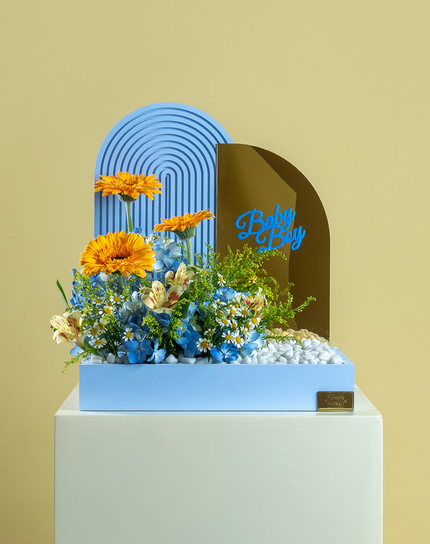 Hydrangea Blue & Gerbera Baby Boy Basket with Mirror