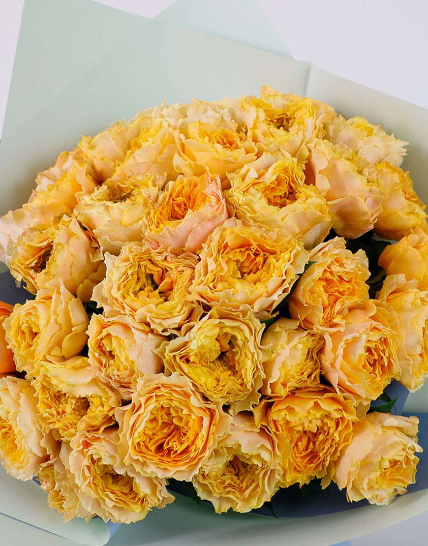 Large Rosettes - Image 3