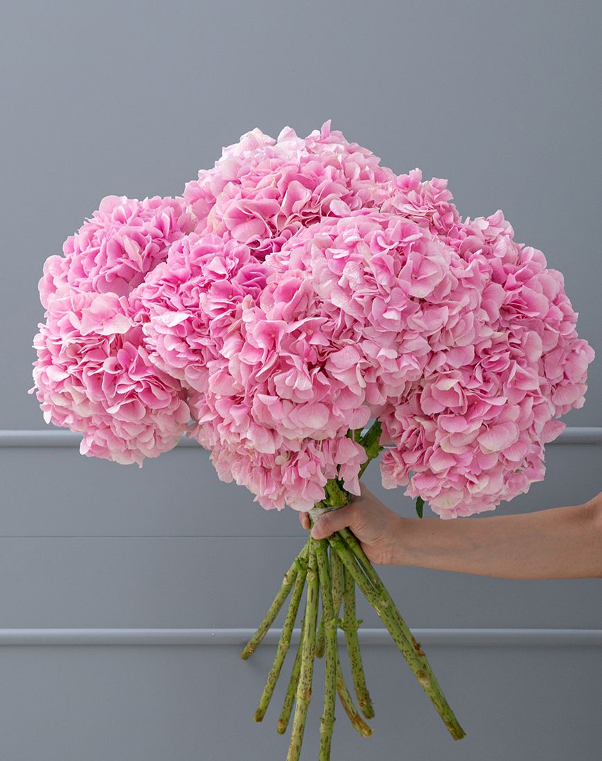 Light Pink Hydrangea Bouquet - Image 4