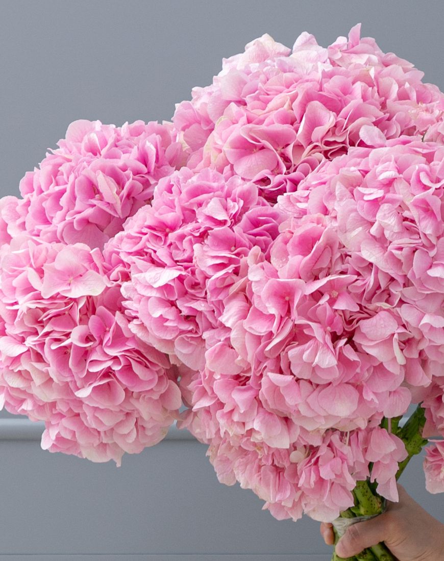 Light Pink Hydrangea Bouquet - Image 8