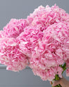Light Pink Hydrangea Bouquet - Image 8