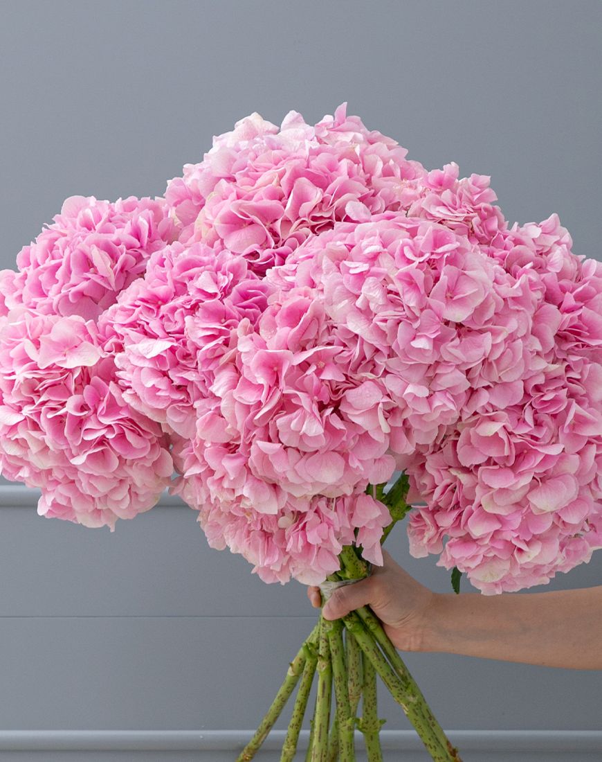 Light Pink Hydrangea Bouquet - Image 12