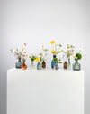 Mixed Bloom Glass Bottle Flower Set