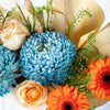 Peach Rose & Gerbera Small Bag Arrangement