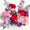 Pink & Purple Harmony Medium Box Arrangement