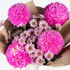 Pink Chrysanthemum Small Bag Arrangement