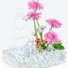 Pink Delight Baby Girl Tray