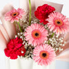 Pink Gerbera & Carnation Small Bag Arrangement