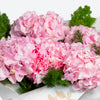 Pink Hydrangea Flower Bouquet image02
